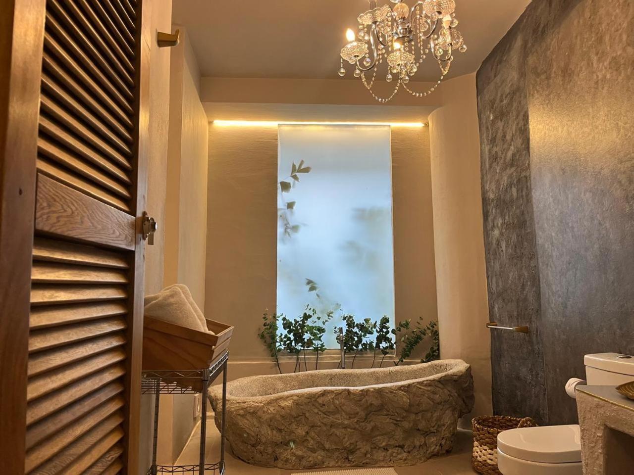 Hostel La Antigua Capsula